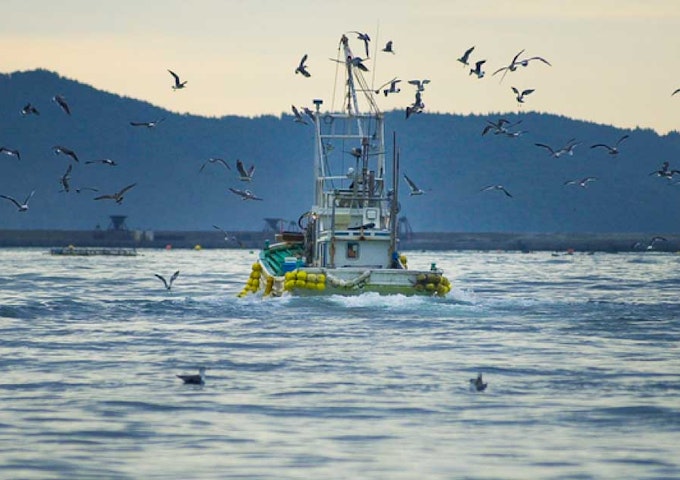 IoTで海上の船同士をつなぎ、人の命を守る海難救助サービスを創出