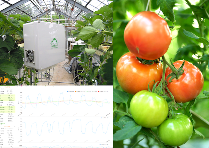 園芸施設の遠隔監視で異常を検知し、生育ノウハウデータを共有して地域の生産性向上へ