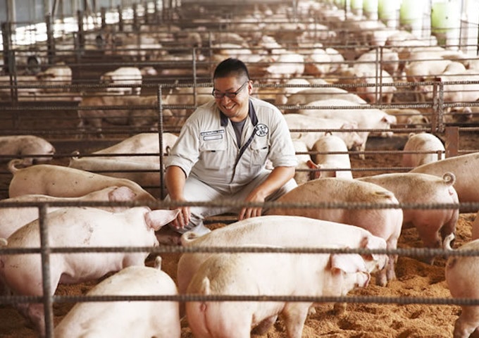 養豚場の設備データを遠隔管理し、故障検知や事象とデータの相関を分析して改善へ